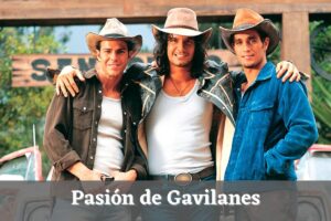 Pasión de gavilanes