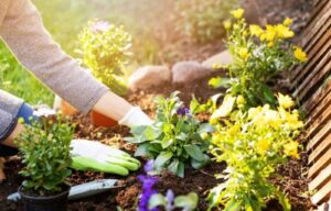 3 trucos poco comunes para mejorar la apariencia de tu jardín